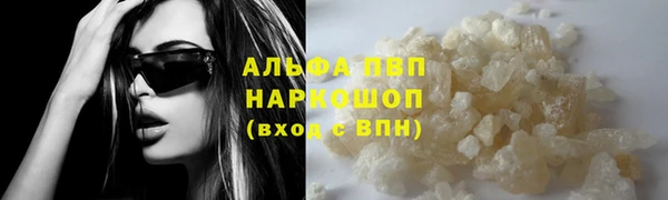 стафф Белокуриха