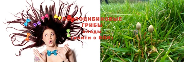 наркотики Богородицк